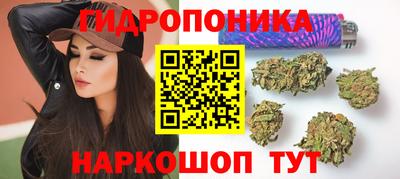 шишки Ипатово