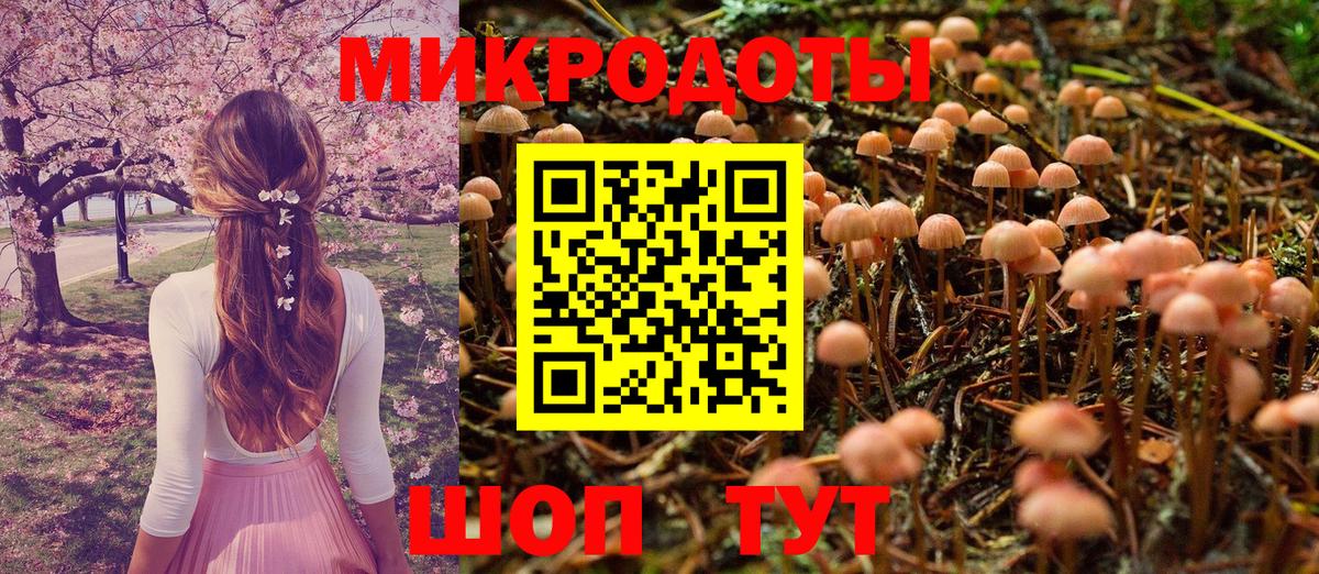 Псилоцибиновые грибы Psilocybine cubensis Можга