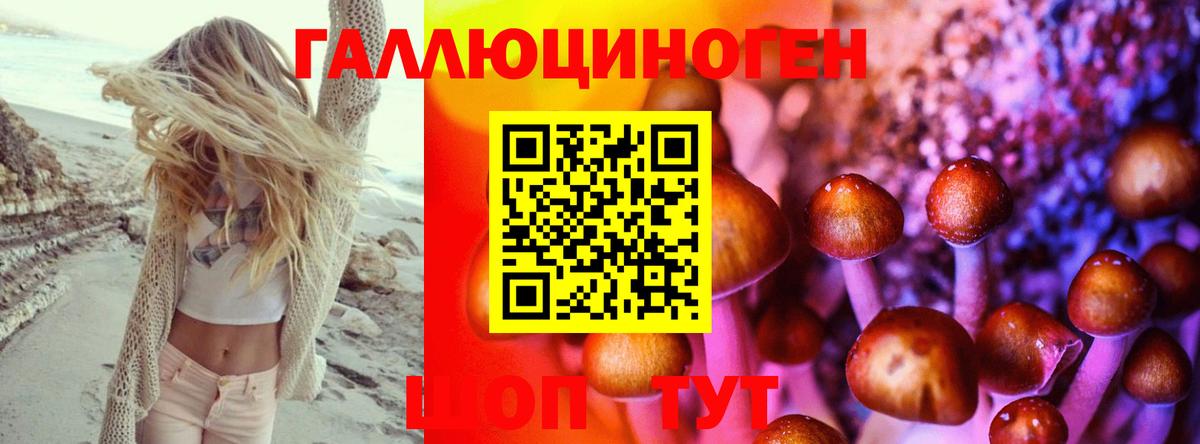 Можга  Галлюциногенные грибы Psilocybine cubensis  Вход с VPN 